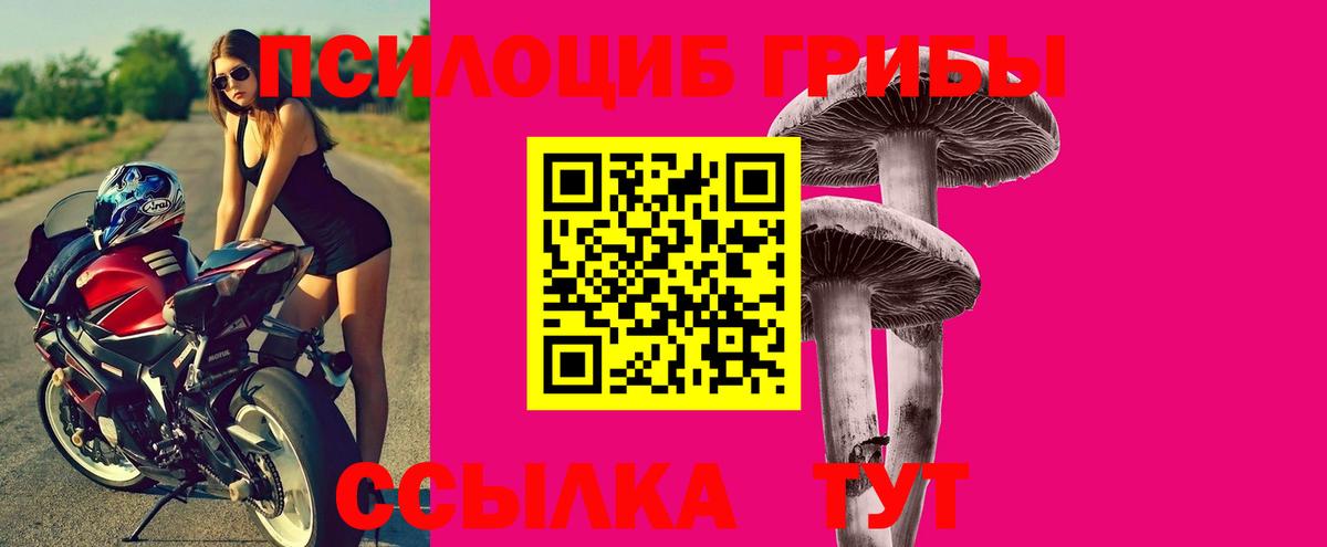 Галлюциногенные грибы Psilocybine cubensis  Галлюциногенные грибы ЛСД  Баксан  Вход с VPN 