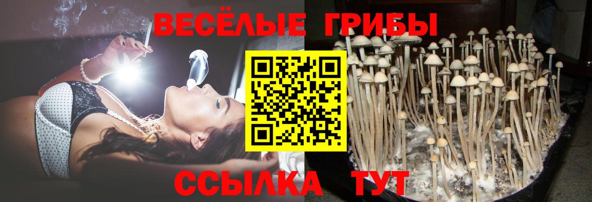 Галлюциногенные грибы ЛСД Баксан